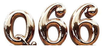 q66 logo